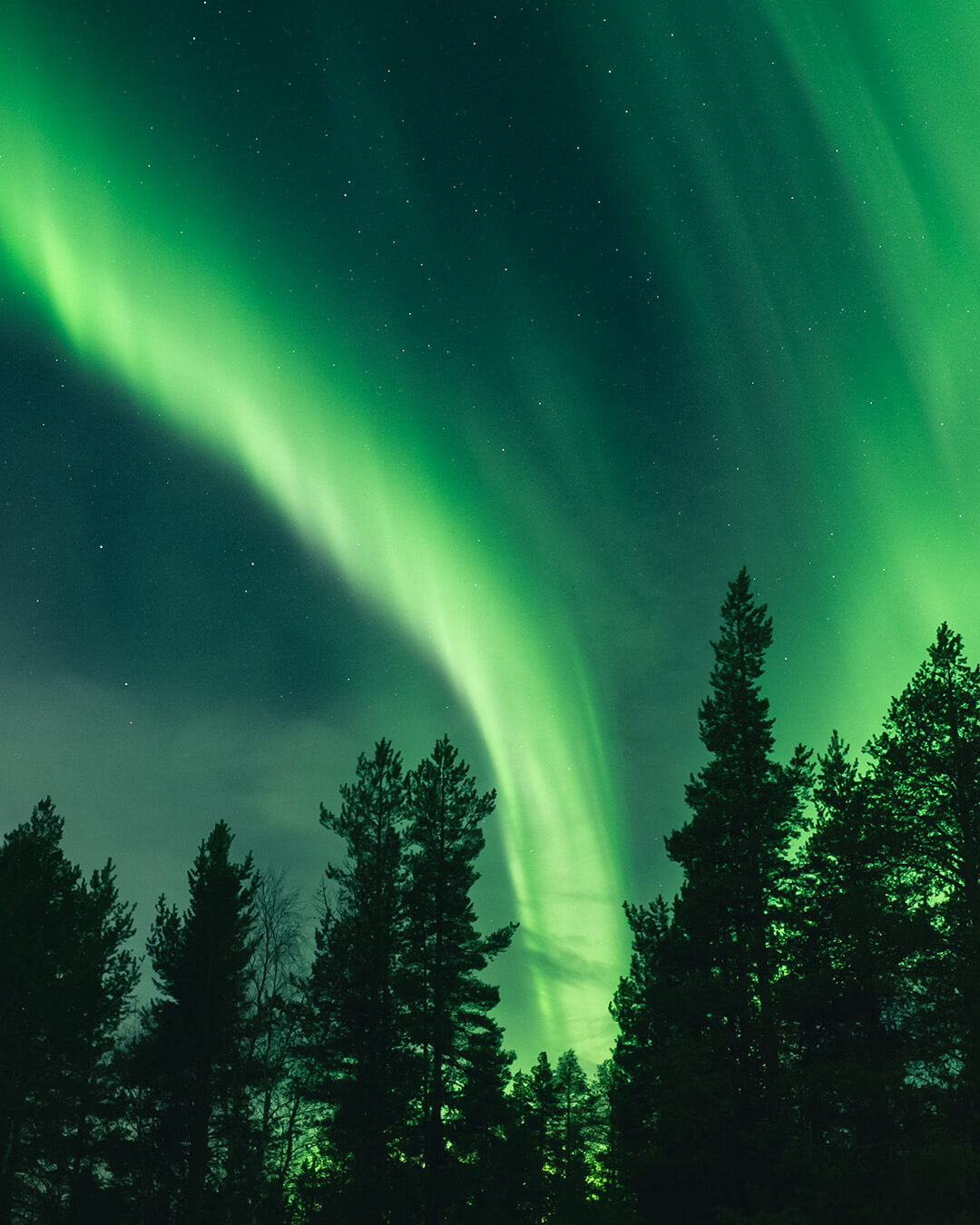 Aurora-Into-North