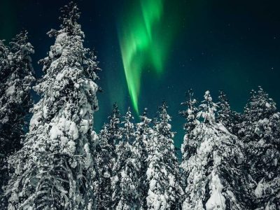 Northern-Lights-Hunting-Money-back-Into-North (1)